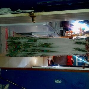 Womens peacock feather pattern and white lace material with built in slip lg/xl